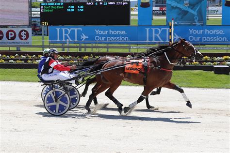 hrnz results|trotting results today.